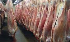 تولید بیش از یک‌هزار تن گوشت قرمز در نوشهر