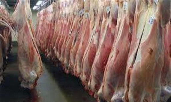 تولید بیش از یک‌هزار تن گوشت قرمز در نوشهر