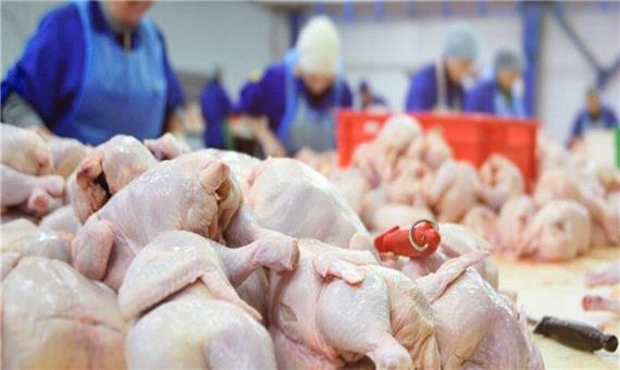 پیش‌بینی تولید بیش از 22 هزار تن گوشت سفید در مازندران