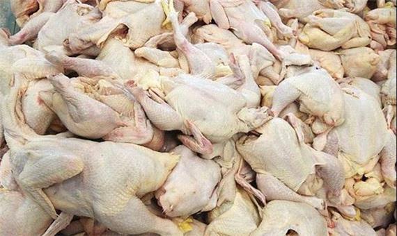 کشف 15 تن مرغ فاسد در بهشهر