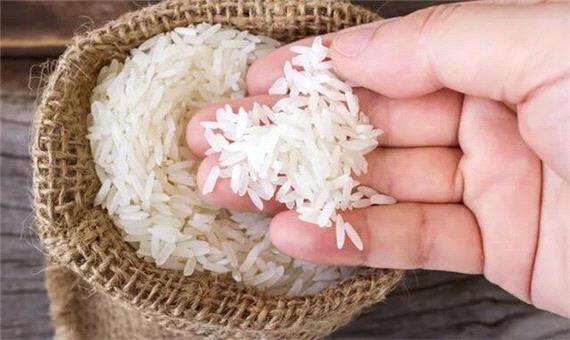 خرید 90 تن برنج ارقام پر محصول در مازندران