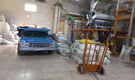 بازار برنج در مازندران رونق گرفته است