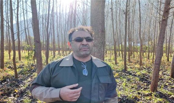 پیش بینی تولید 30 هزار مترمکعب چوب توسط چوبکاران در غرب مازندران