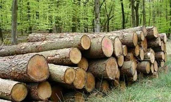 کشف 21 تن چوب قاچاق طاق در جویبار