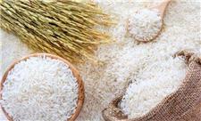 برنج داخلی در نمایشگاه های بهاره مازندران عرضه می شود