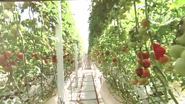 همایش سراسری گردشگری کشاورزی به میزبانی لرستان برگزار می‌شود