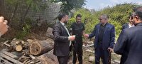 بازدید نظارتی دادستان مرکز استان مازندران از مراکز دپوی چوب و پارکینگ وسایل توقیفی در ساری
