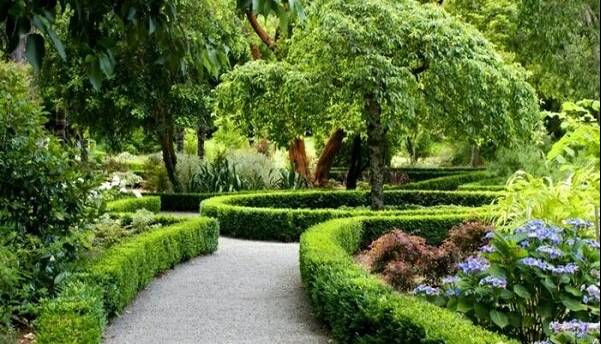 حضور در فضاهای سبز باعث رشد بهتر مغز کودکان می‌شود