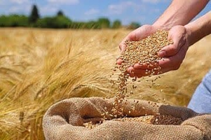 پیام مازند