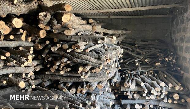 زمین‌گیر شدن عامل قطع درختان انجیلی در نور و کشف چوب‌آلات قاچاق