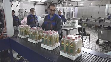 اشتغال در مشاغل خانگی، رویکرد اصلی دولت