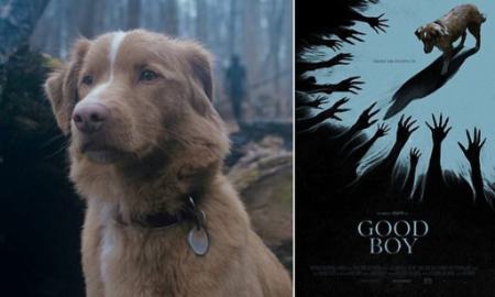 فیلم ترسناک Good Boy با نقش اصلی یک سگ تماشاگران را شوکه کرد