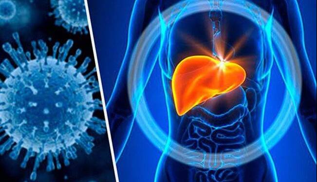 توضیح مهم یک پزشک در خصوص واگیردار بودن بیماری هپاتیت B