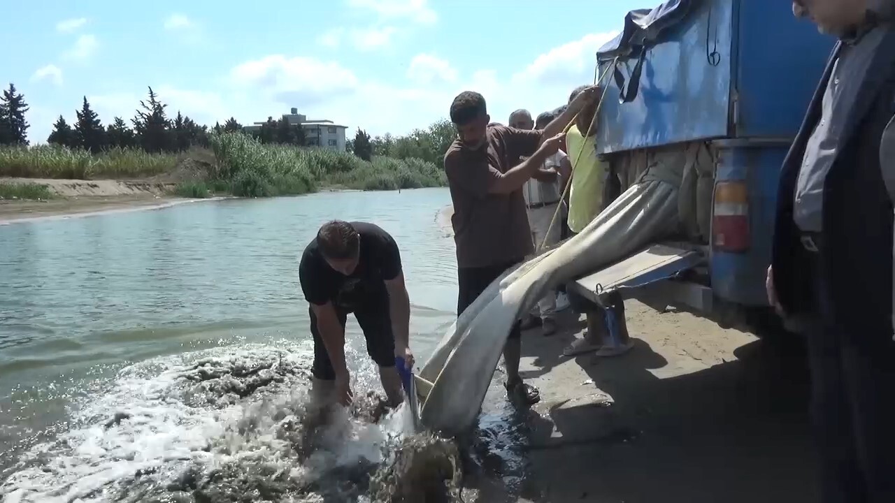 پیام مازند