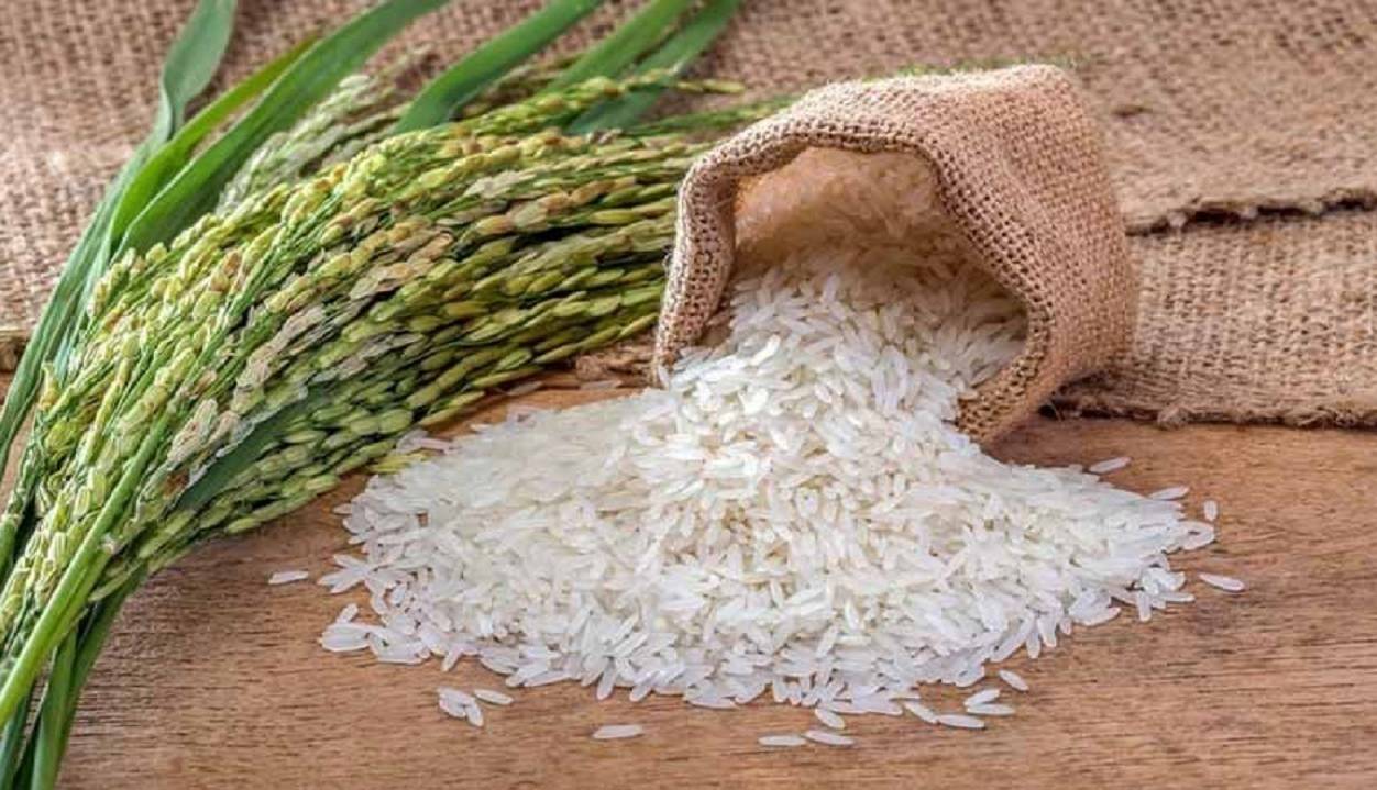 راهکار تنظیم بازار برنج در کشور چیست؟