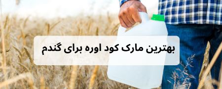 پیام مازند