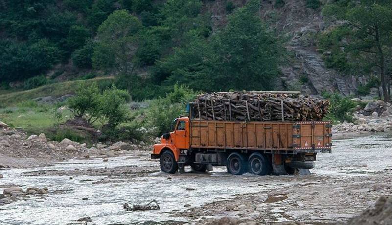 ۳۰ تن انواع چوب جنگلی قاچاق در عباس آباد کشف شد