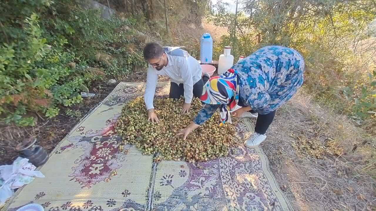 پیام مازند