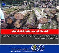 کشف محل دپو چوب جنگلی قاچاق در تنکابن