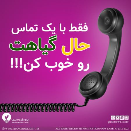 پیام مازند