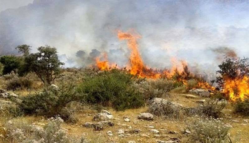 شعله‌های انسانی در دل میانکاله؛ ۸ هکتار از پوشش گیاهی سوخت!