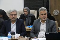 ۱۰۵ میلیارد تومان  تسهیلات برای مشاغل خانگی