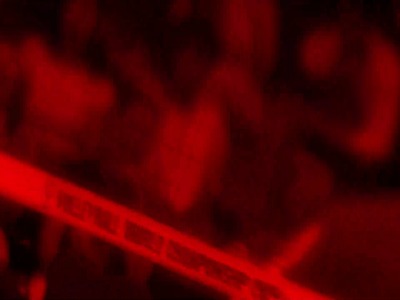 بازگشت تیم ملی والیبال ایران از رقابت‌های قهرمانی جهان ۲۰۲۵