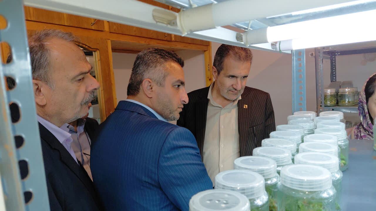 پیام مازند