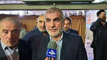 نایب رئیس مجلس: اسنپ‌بک منطق حقوقی ندارد