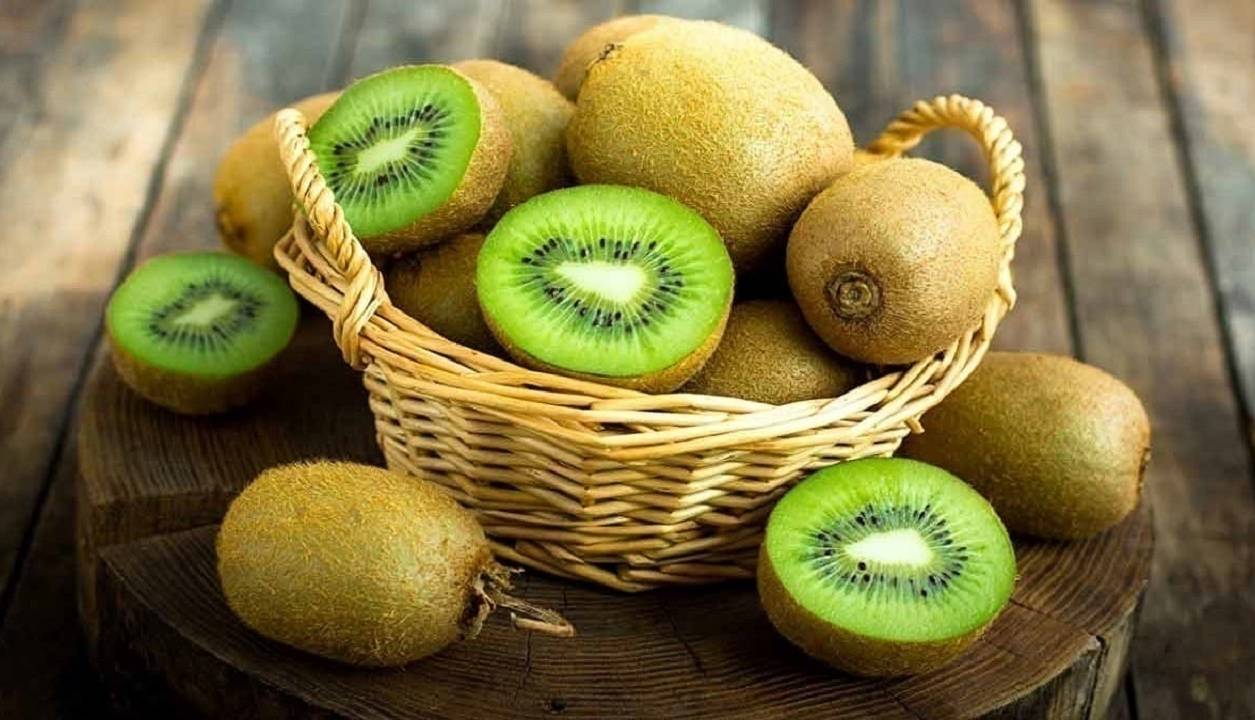 پیش‌بینی ۶۰ میلیون دلار درآمد ارزی از صادرات کیوی مازندران