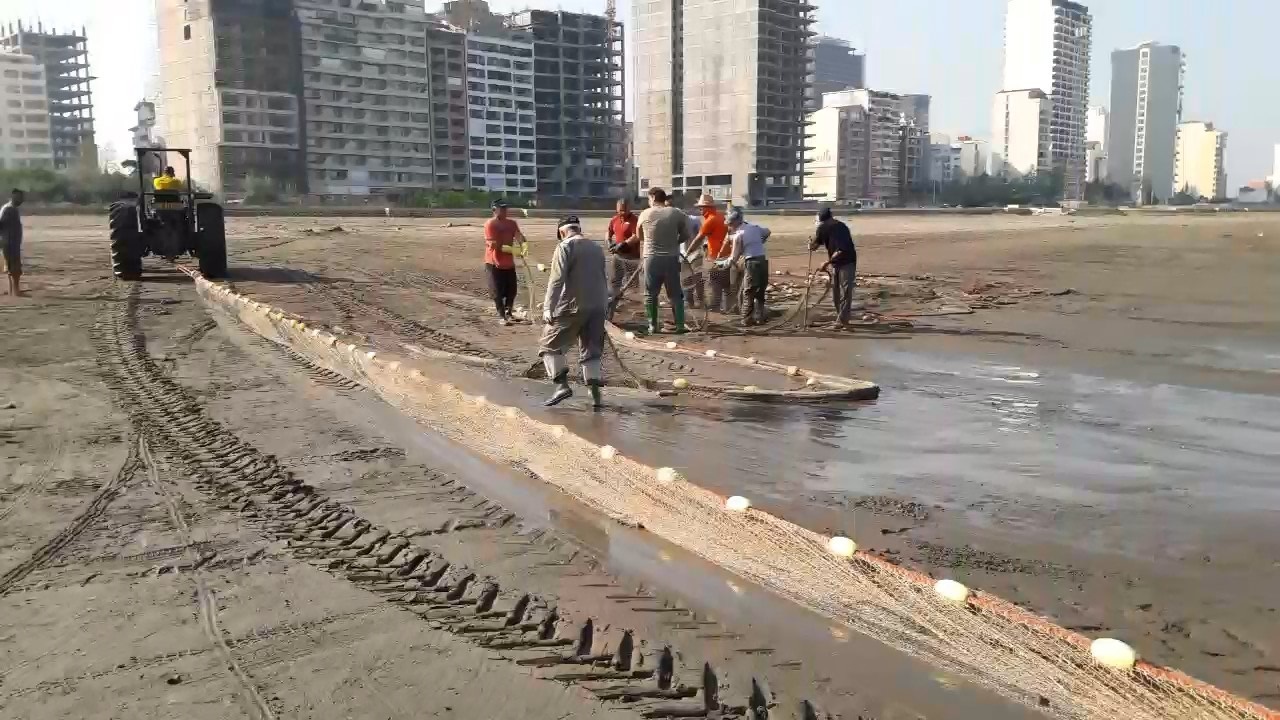 پیام مازند