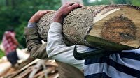 دستگیری قاچاقچی چوب در ایزدشهر