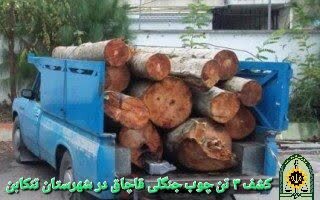 پیام مازند