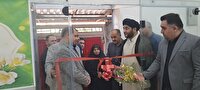 افتتاح اولین کورت اسکواش شرق مازندران در بهشهر