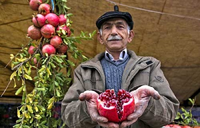 پیام مازند
