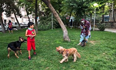 خانواده ها؛ مراقب کودکان در برابر سگ‌های ولگرد باشند