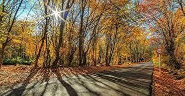 هوای بهاری در پاییز مازندران