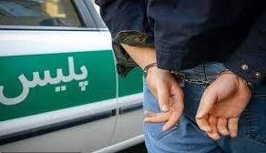 زمین‌گیر شدن اراذل و اوباش مسلح با شلیک پلیس