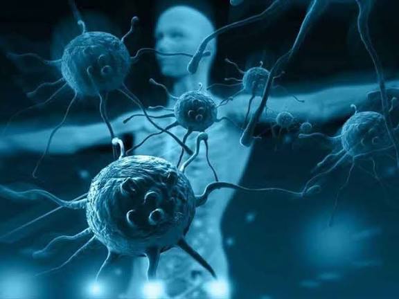بهترین غذاهایی که برای تقویت سیستم ایمنی بدن مفید است