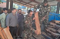 ادامه سریال قاچاق چوب در مازندران