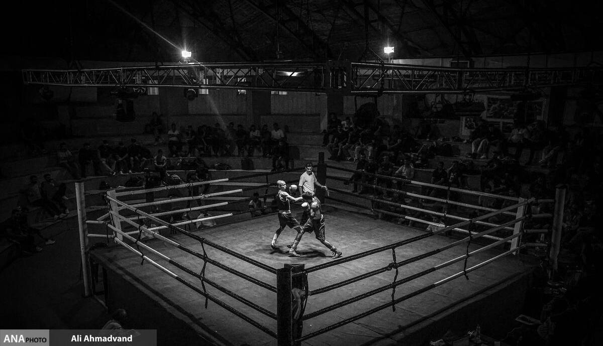 فدراسیون بوکس در مجموعه آزادی زمین‌دار شد