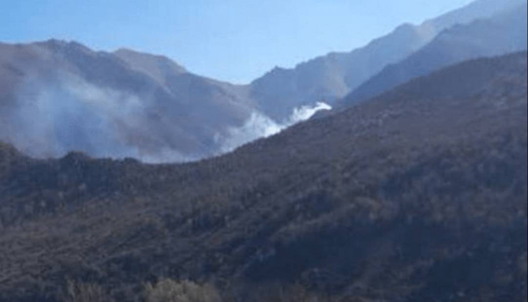 آتش‌سوزی در جنگل‌های صعب‌العبور چالوس