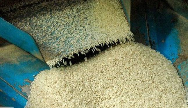 کاهش محسوس اختلاف قیمت برنج شالیکوبی‌ها با بازار کشور