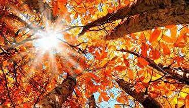 آفتاب پاییزی تا چند روز آینده درآسمان مازندران