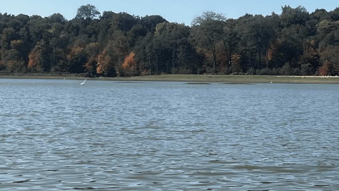 کاهش بارش‌ها موجب کم‌آبی دریاچه الندان شده است