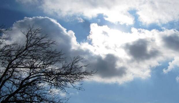 کیا کجوری: نخستین دفتر هواشناسی بندری کشور در فریدونکنار احداث می‌شود