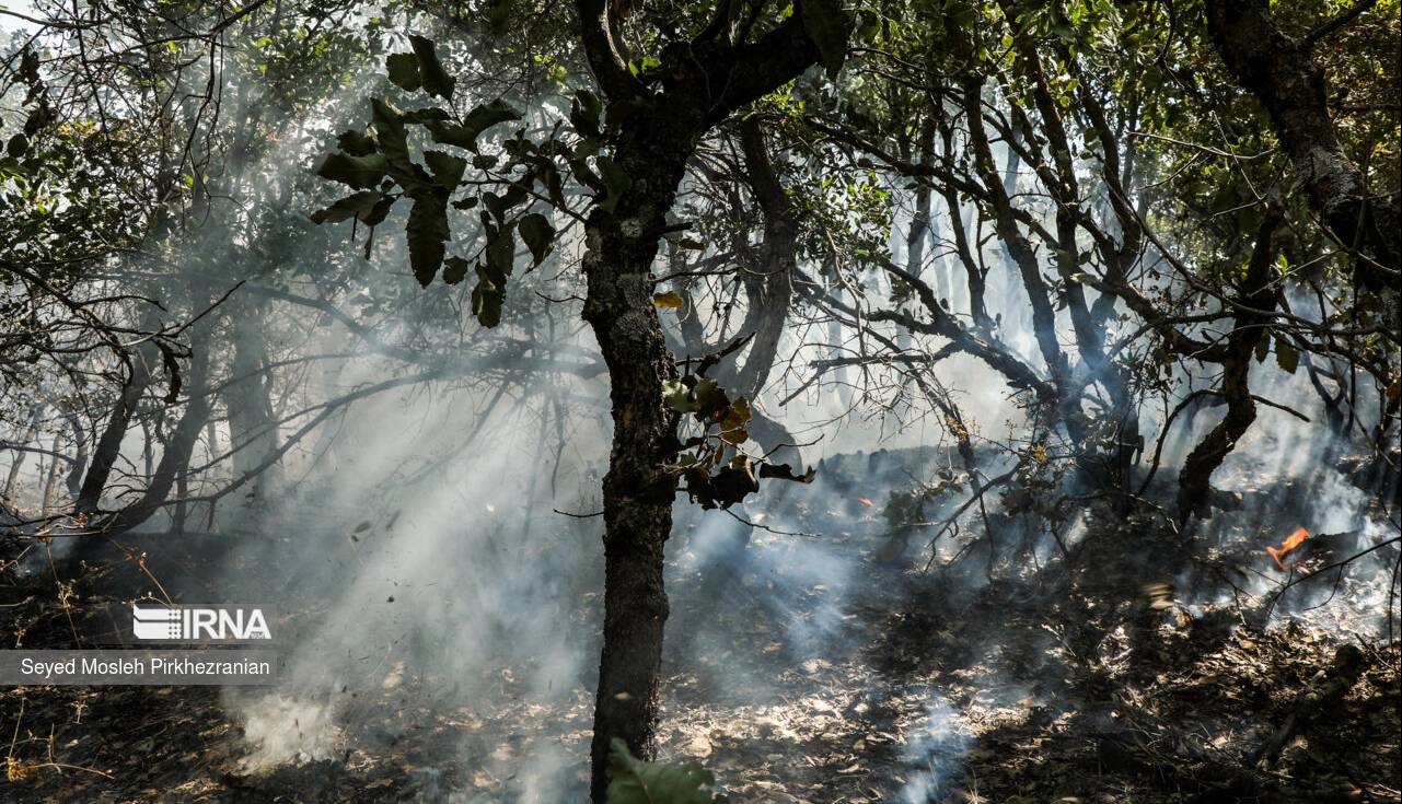 تنش دمایی و هشدار آتش‌سوزی در جنگل‌ و مراتع مازندران