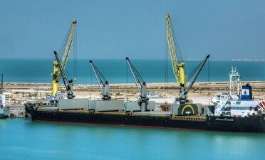 تامین نهاده های دامی از بندر امیرآباد