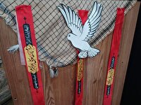 خادمی دو برادر دانش‌آموز نکایی در راهیان نور