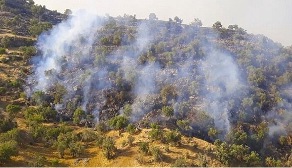 درخواست سومین بالگرد برای مهار آتش در جنگل‌های چالوس؛ 6 گروه پیاده به منطقه اعزام شدند